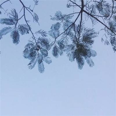 灵汐仙境手游下载