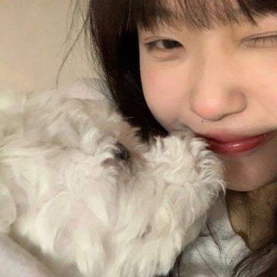 剑仙灵内购破解版下载